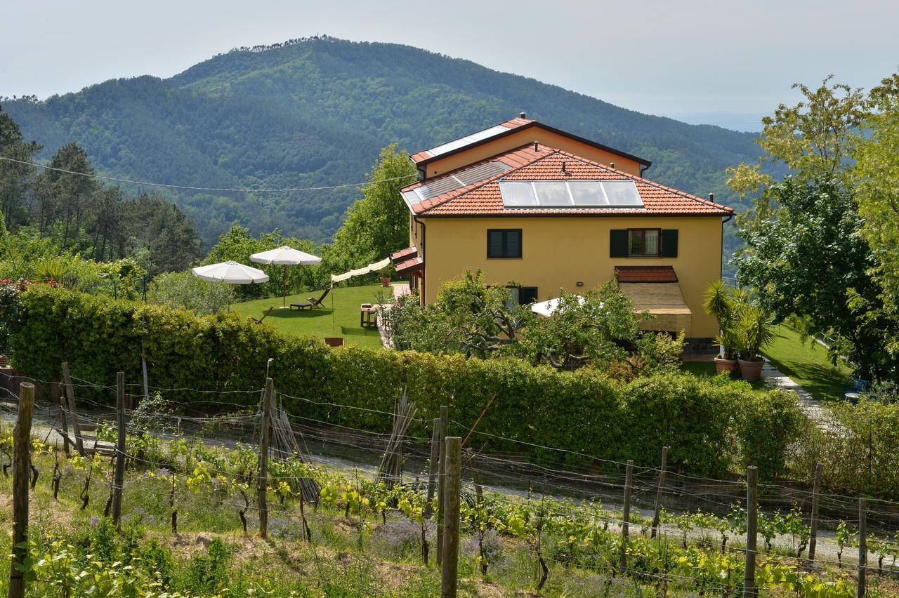 Il Laghello Di Amina Villa Framura Ngoại thất bức ảnh